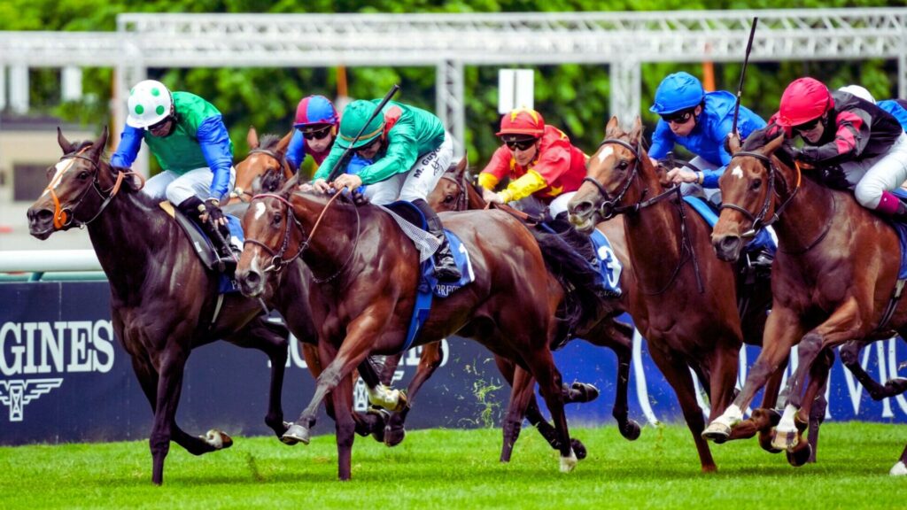 French Turf Culture Explained